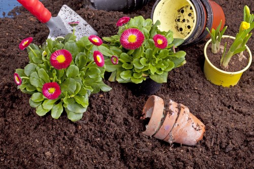 Landscape gardeners in Manorpark planning a garden design