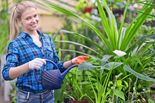 Professional shed installation setup in a Manorpark garden