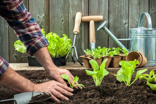 Garden maintenance in Manorpark with tidy lawn and fresh borders