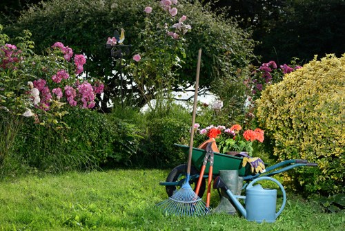 Professional hedge trimming in Manorpark for a neat garden boundary