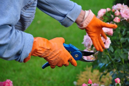 Landscapers Manorpark commitment to zero tolerance against modern slavery