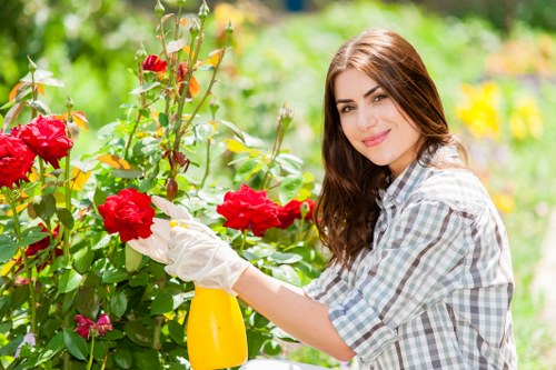 Review of landscaping maintenance issue and waste removal concern