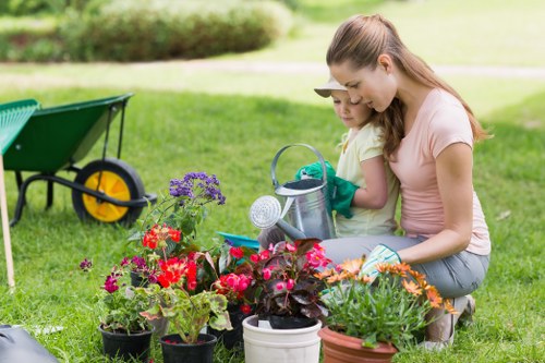 Seasonal lawn maintenance for a Manorpark property