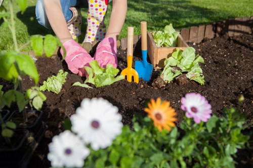 Planning a garden renovation in Manorpark with layout ideas