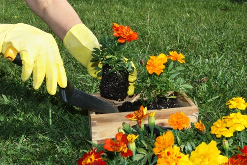 Final complaint resolution process for a local landscaping service