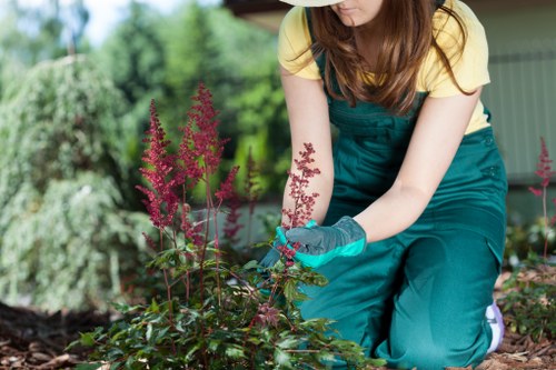User adjusting cookie settings on a landscaping site