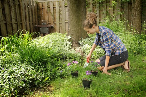 Front garden landscaping inspiration for Manorpark properties