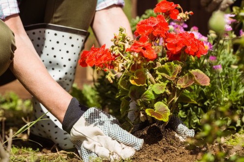 Stylish garden landscaping features for a Manorpark home