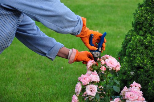Image symbolizing ongoing website accessibility improvements