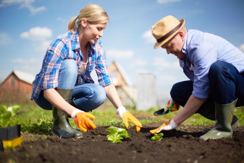 Autumn garden maintenance in Manorpark clearing leaves and pruning plants