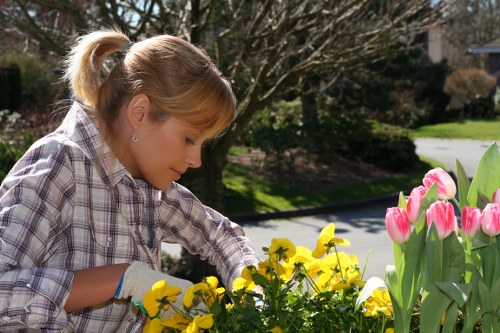 Payment methods icons for Landscapers Manorpark secure area