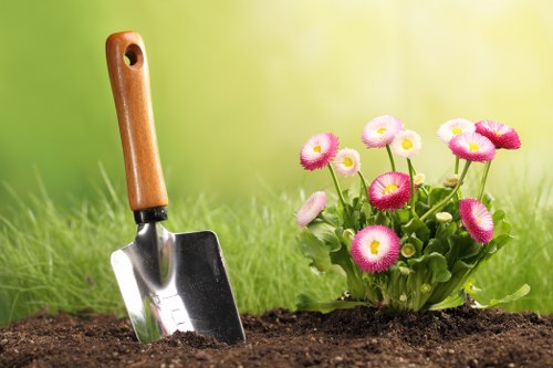 Professional garden maintenance in Manorpark trimming hedges and shrubs
